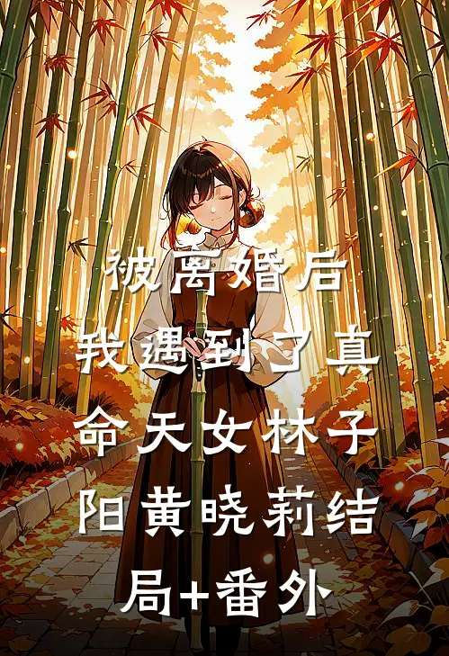 被离婚后，我遇到了真命天女林子阳黄晓莉结局+番外