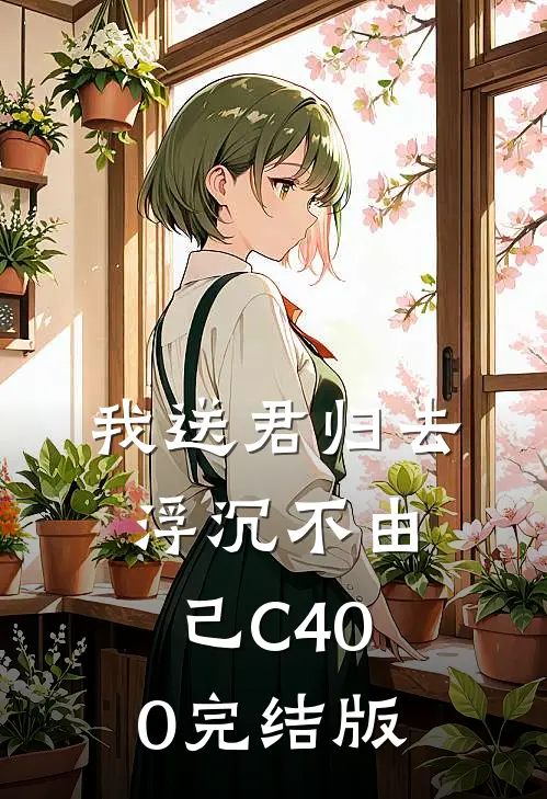 我送君归去，浮沉不由己C400完结版