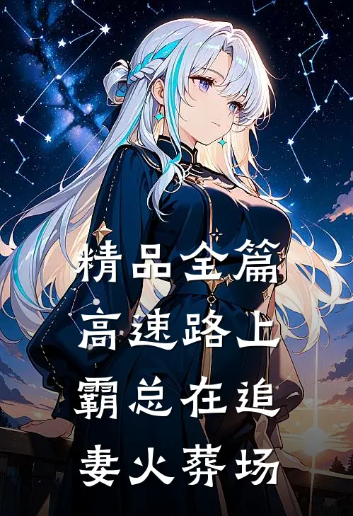 精品全篇高速路上，霸总在追妻火葬场