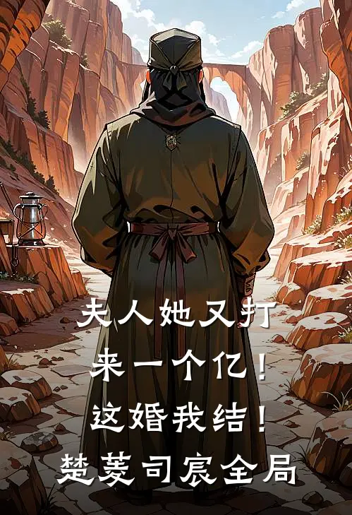 夫人她又打来一个亿！这婚我结！楚菱司宸全局
