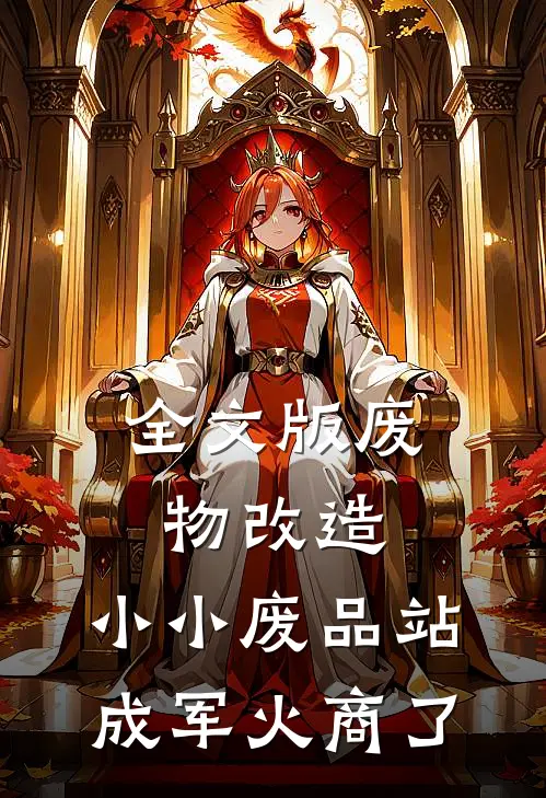 全文版废物改造：小小废品站成军火商了