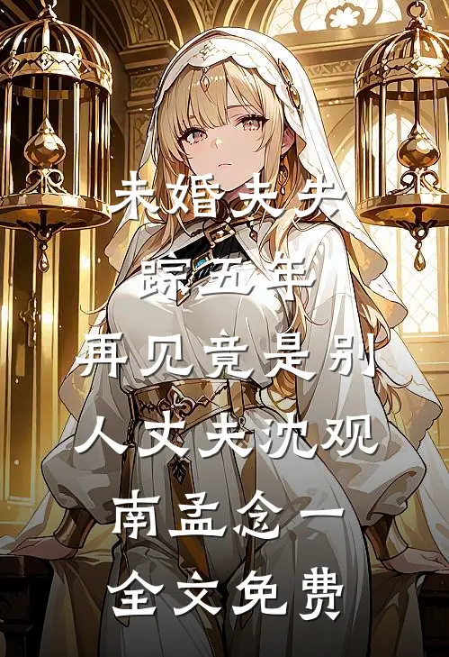 未婚夫失踪五年：再见竟是别人丈夫沈观南孟念一全文免费