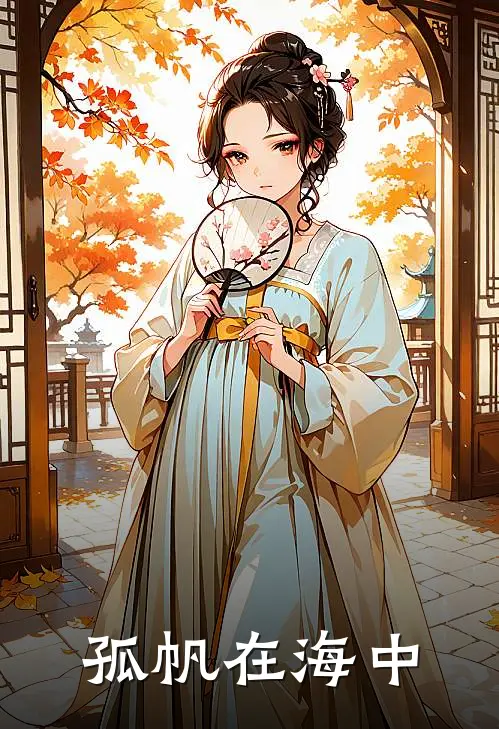 孤帆在海中