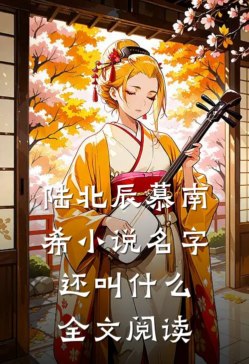 陆北辰慕南希小说名字还叫什么全文阅读