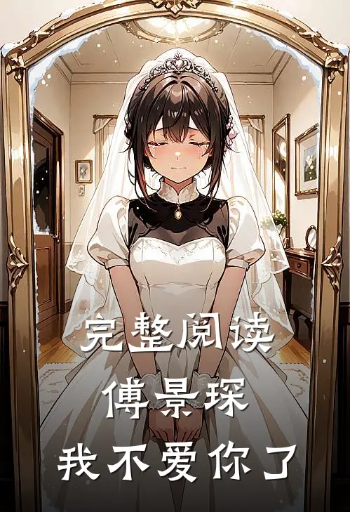 完整阅读傅景琛，我不爱你了