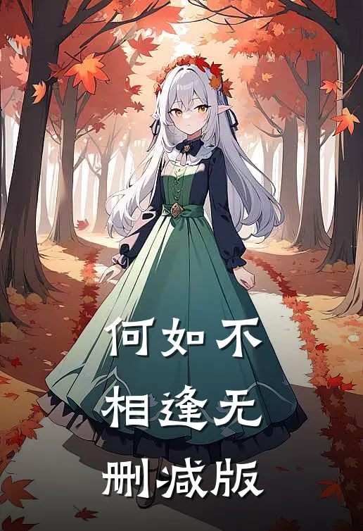何如不相逢无删减版