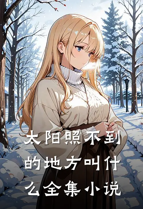 太阳照不到的地方叫什么全集小说