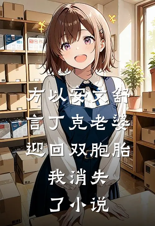 方以安文舒言丁克老婆迎回双胞胎，我消失了小说