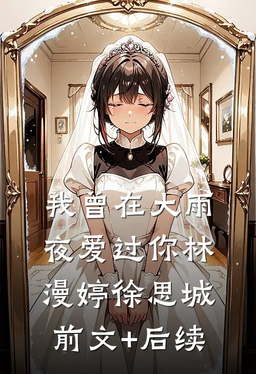 我曾在大雨夜爱过你林漫婷徐思城前文+后续