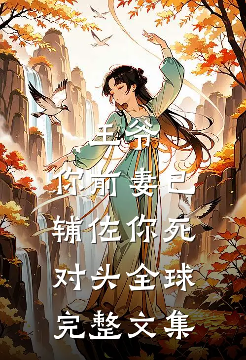 王爷，你前妻已辅佐你死对头全球完整文集