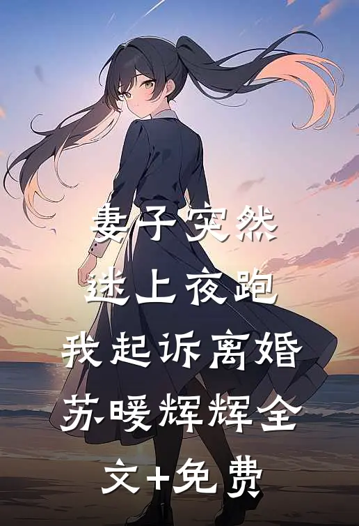 妻子突然迷上夜跑，我起诉离婚苏暖辉辉全文+免费