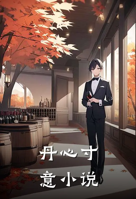 丹心寸意小说