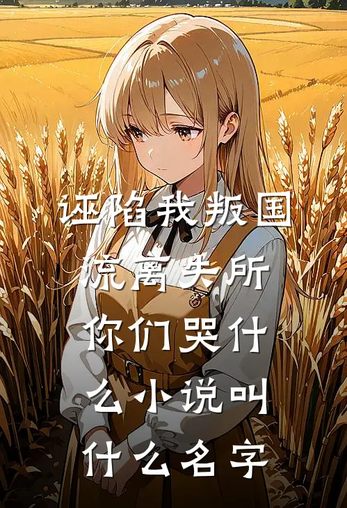 诬陷我叛国，流离失所你们哭什么小说叫什么名字