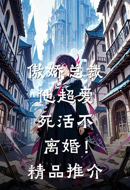 傲娇总裁他超爱，死活不离婚！精品推介