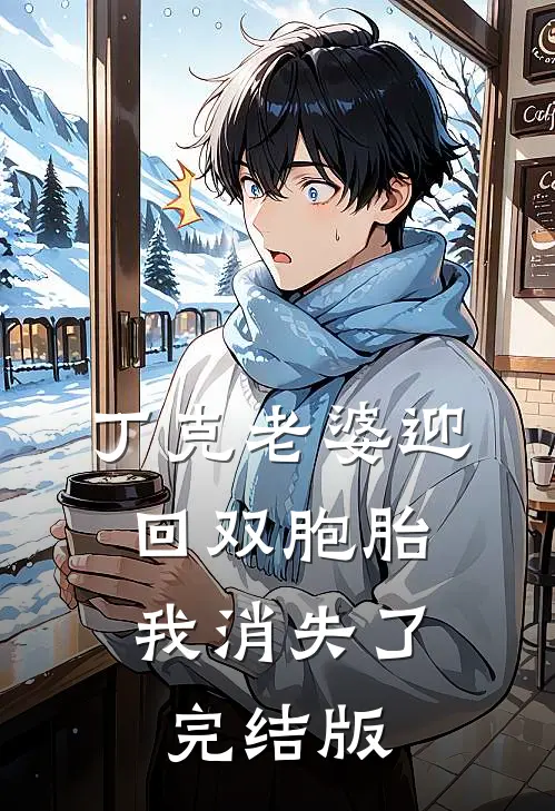 丁克老婆迎回双胞胎，我消失了完结版