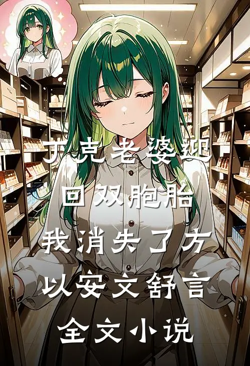 丁克老婆迎回双胞胎，我消失了方以安文舒言全文小说