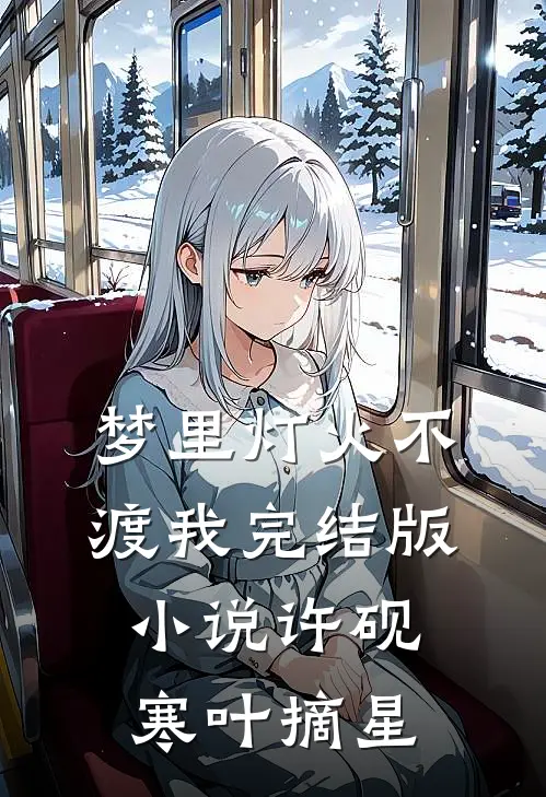 梦里灯火不渡我完结版小说许砚寒叶摘星