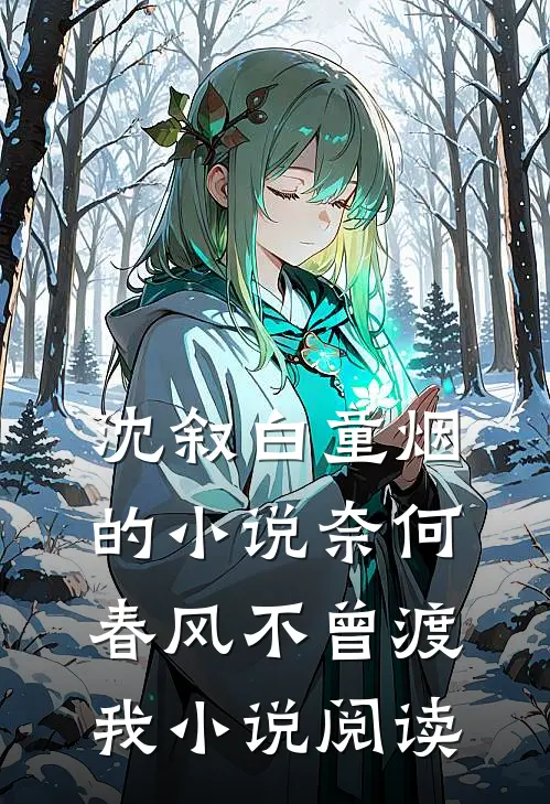 沈叙白童烟的小说奈何春风不曾渡我小说阅读