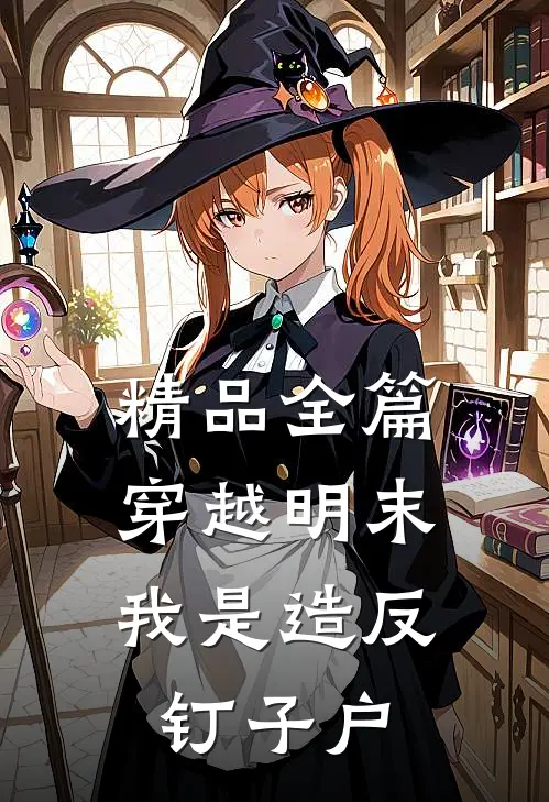 精品全篇穿越明末，我是造反钉子户