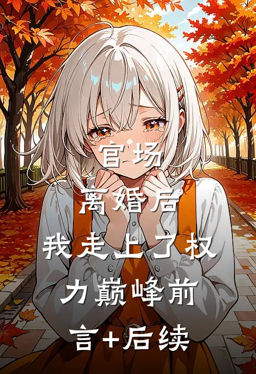 官场：离婚后，我走上了权力巅峰前言+后续