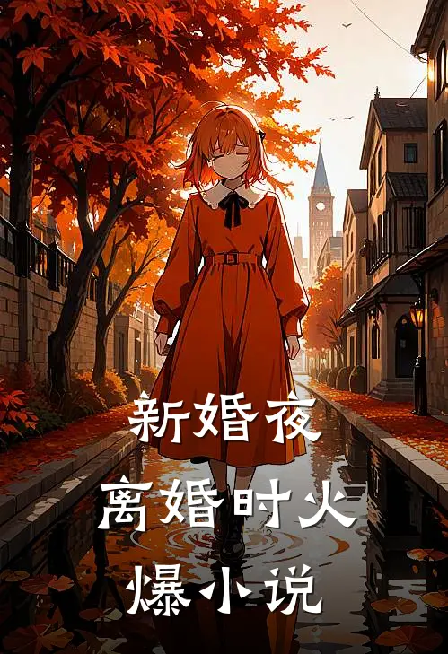 新婚夜，离婚时火爆小说