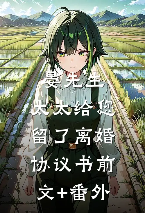 晏先生，太太给您留了离婚协议书前文+番外