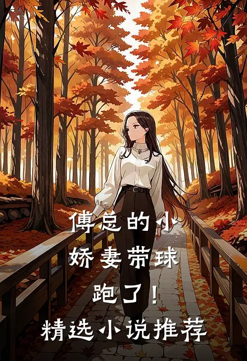 傅总的小娇妻带球跑了！精选小说推荐
