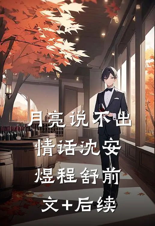 月亮说不出情话沈安煜程舒前文+后续