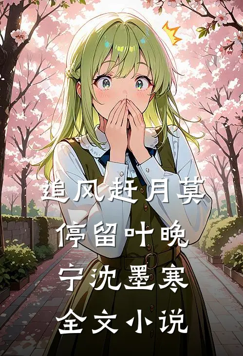 追风赶月莫停留叶晚宁沈墨寒全文小说