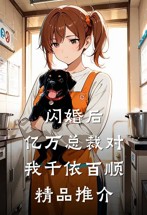 闪婚后，亿万总裁对我千依百顺精品推介