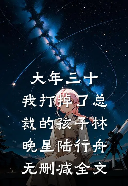 大年三十，我打掉了总裁的孩子林晚星陆行舟无删减全文