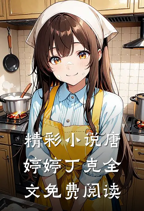 精彩小说唐婷婷丁克全文免费阅读