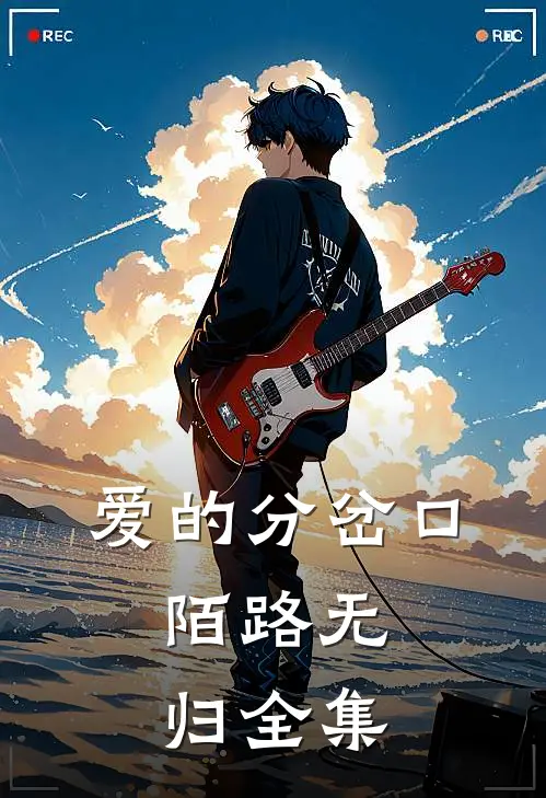 爱的分岔口，陌路无归全集
