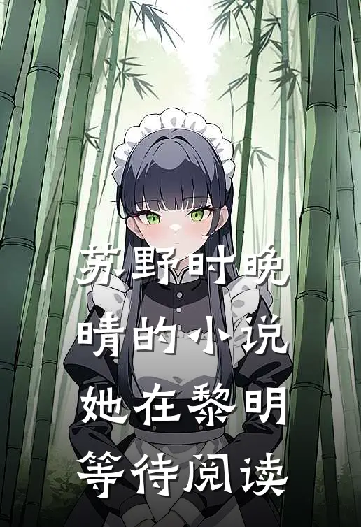 苏野时晚晴的小说她在黎明等待阅读