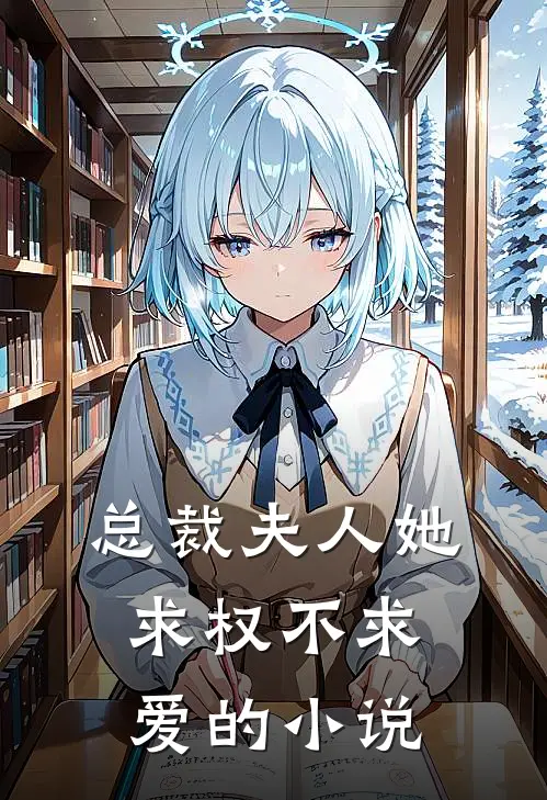总裁夫人她求权不求爱的小说
