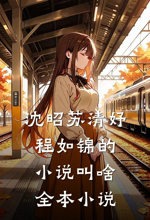 沈昭苏清妤程如锦的小说叫啥全本小说