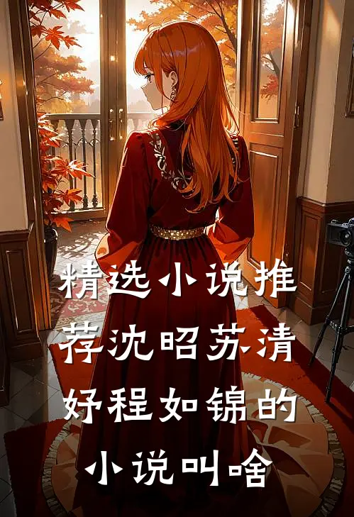 精选小说推荐沈昭苏清妤程如锦的小说叫啥