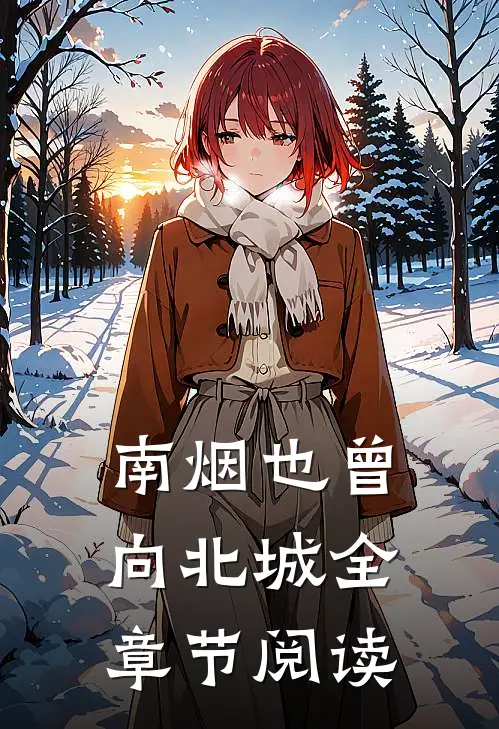 南烟也曾向北城全章节阅读
