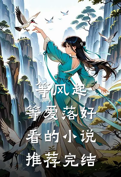 等风起，等爱落好看的小说推荐完结