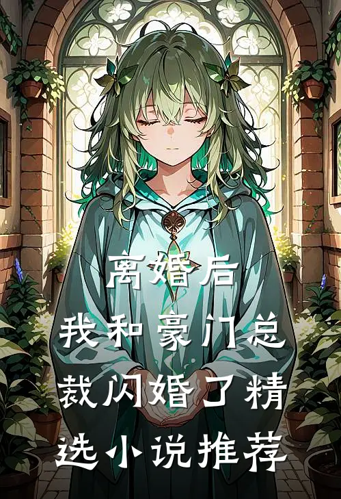 离婚后，我和豪门总裁闪婚了精选小说推荐