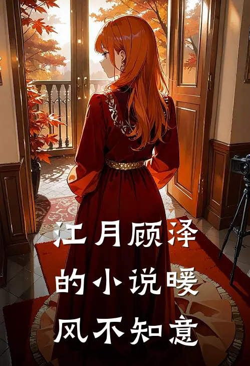 江月顾泽的小说暖风不知意