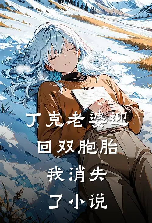 丁克老婆迎回双胞胎，我消失了小说