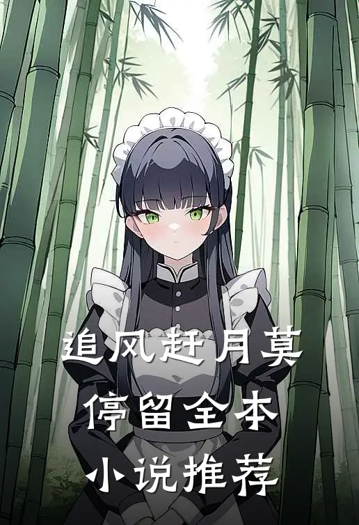 追风赶月莫停留全本小说推荐