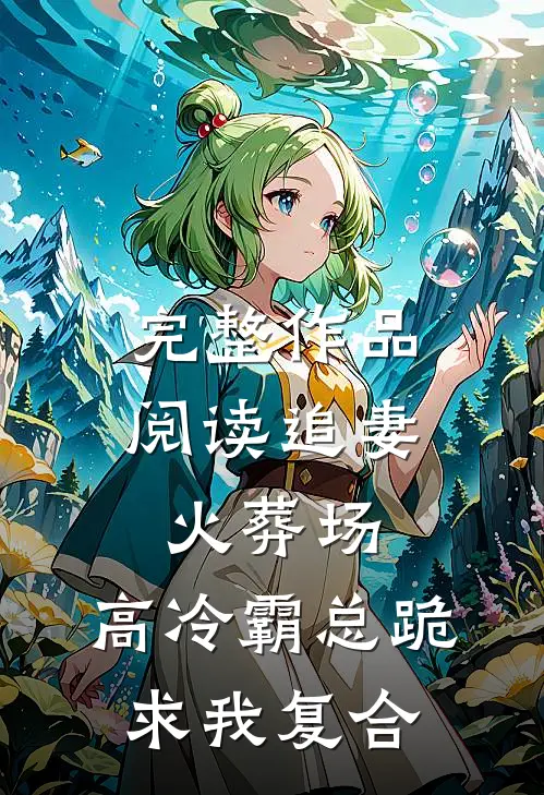 完整作品阅读追妻火葬场：高冷霸总跪求我复合