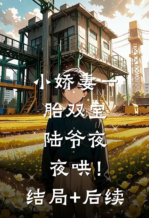 小娇妻一胎双宝，陆爷夜夜哄！结局+后续
