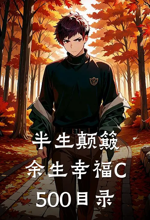 半生颠簸，余生幸福C500目录