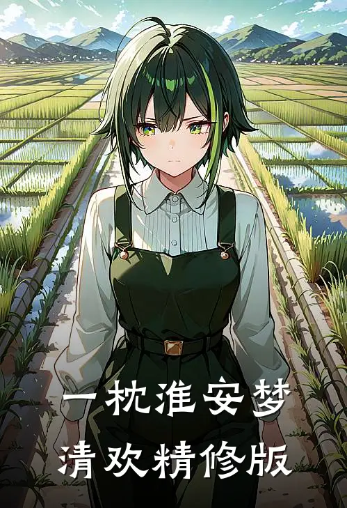 一枕淮安梦清欢精修版