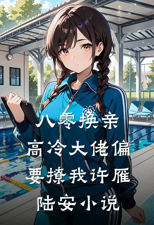 八零换亲，高冷大佬偏要撩我许雁陆安小说