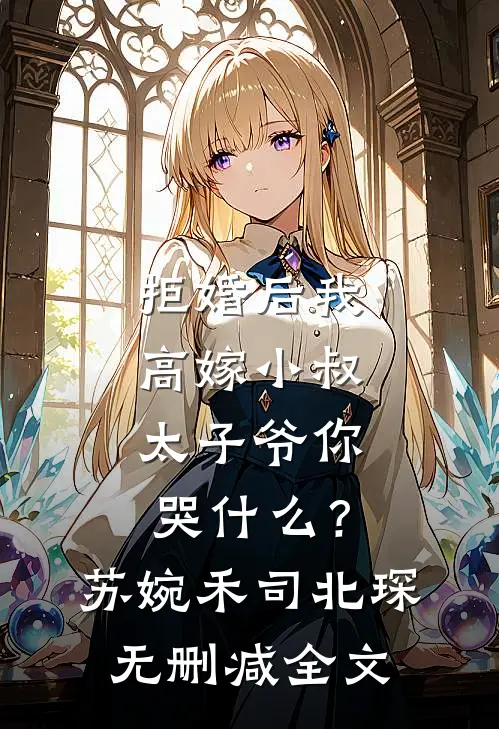拒婚后我高嫁小叔，太子爷你哭什么？苏婉禾司北琛无删减全文