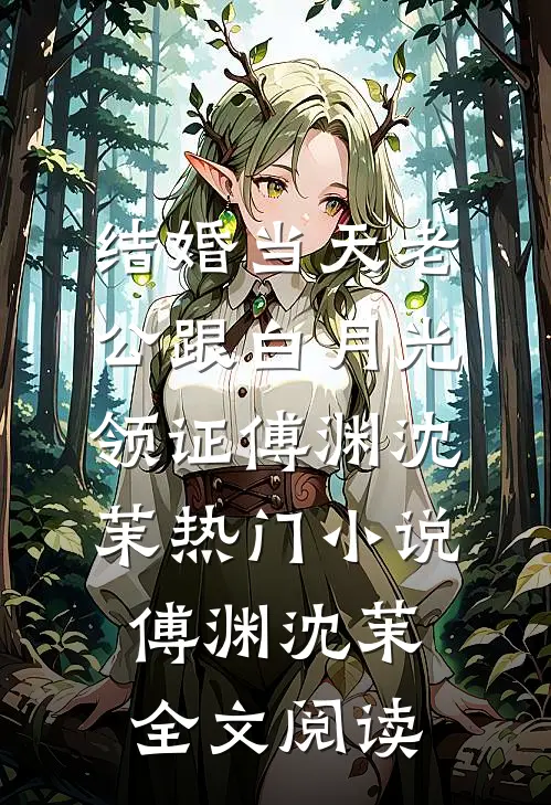 结婚当天老公跟白月光领证傅渊沈茉热门小说（傅渊沈茉）全文阅读